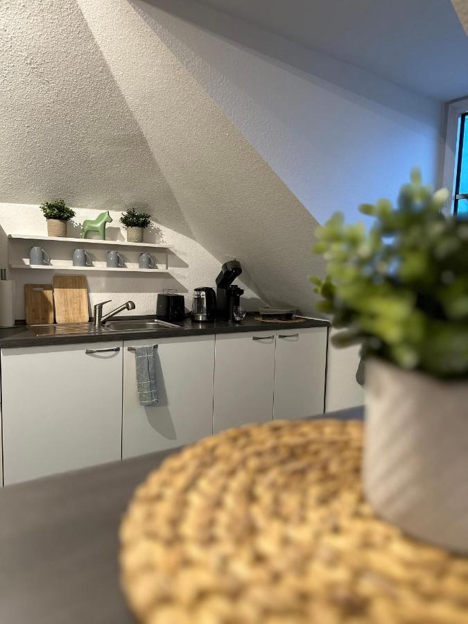Oasis Appart - Wohnen Am Elbtal - Balkon - Netflix - Tiefgarage Dresda Exterior foto