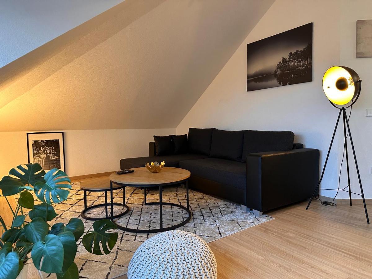 Oasis Appart - Wohnen Am Elbtal - Balkon - Netflix - Tiefgarage Dresda Exterior foto