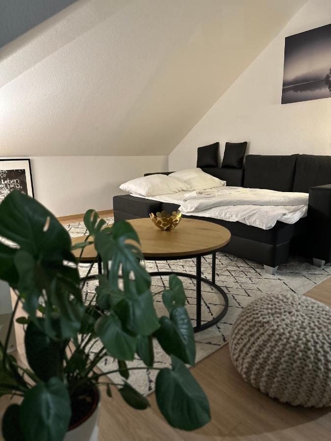 Oasis Appart - Wohnen Am Elbtal - Balkon - Netflix - Tiefgarage Dresda Exterior foto